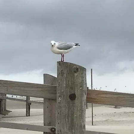 Apartament Kastanienhof Tumlauer Koog