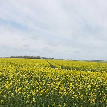 Apartament Kastanienhof
