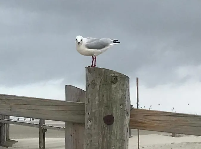 Apartament Kastanienhof Tumlauer Koog